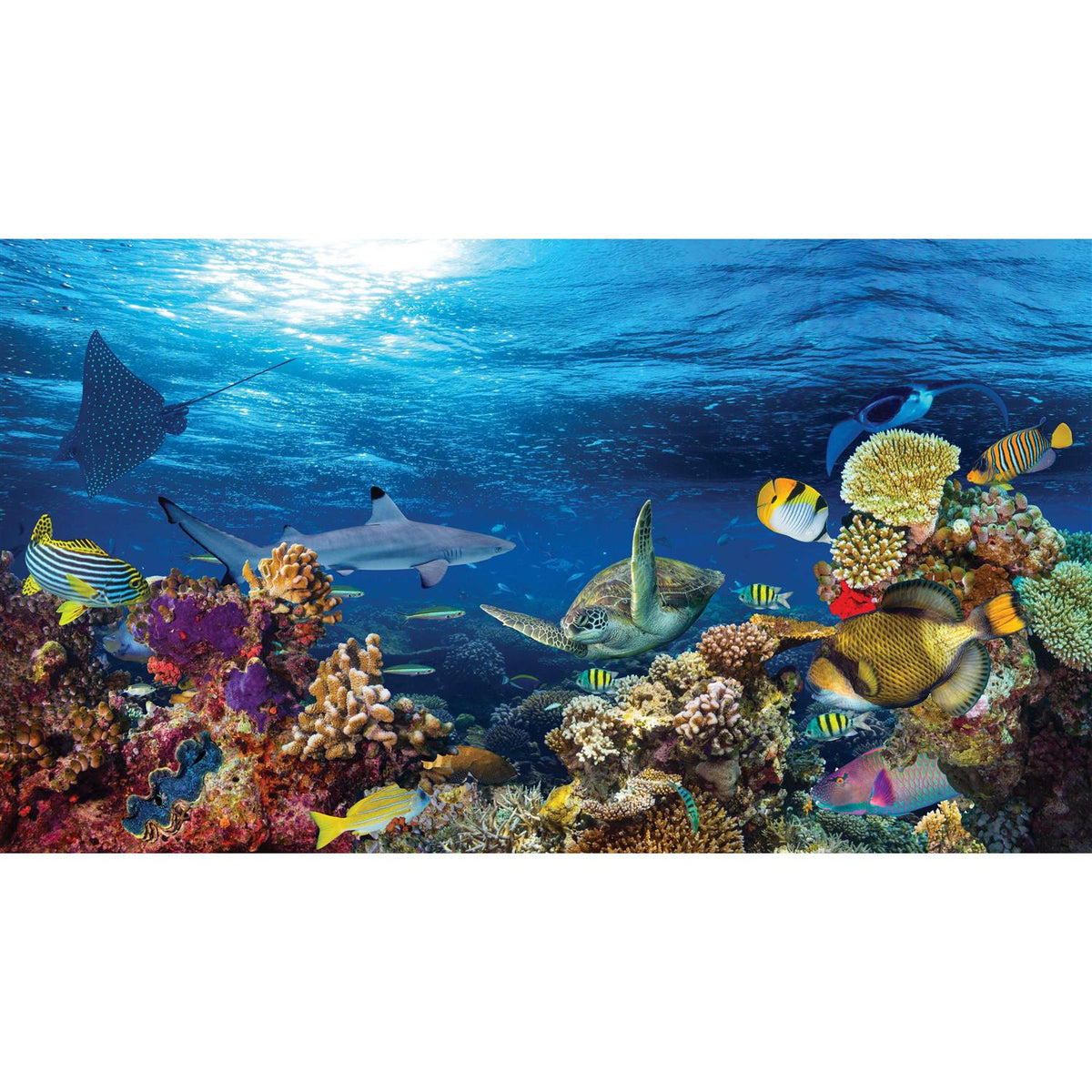 Reversible Aquarium Tank Background O315209