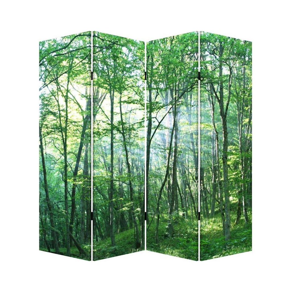 Forrest Screen Y573453