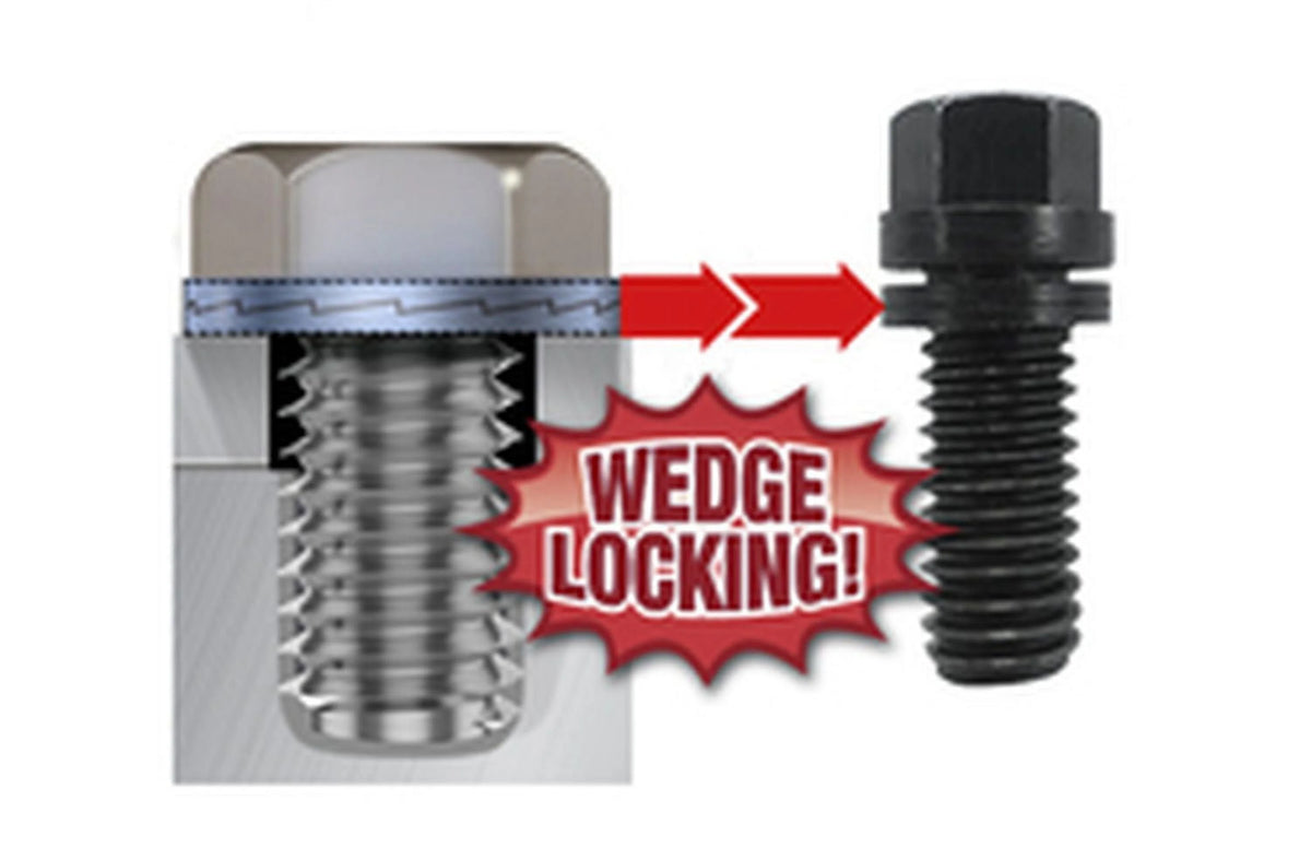 WEDGE-LOCKIN HDR BLTS 3/4L X 3 O636