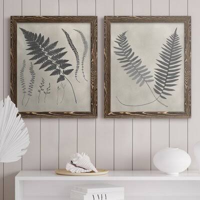Vintage Fern Study II Premium Framed Print P98684