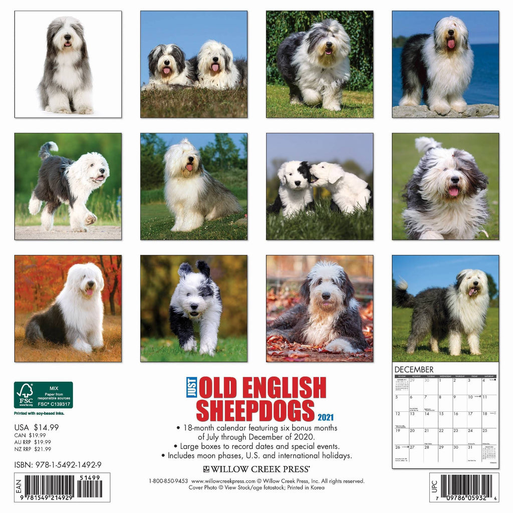 Old English Sheepdogs 2021 Wall Calendar R9936
