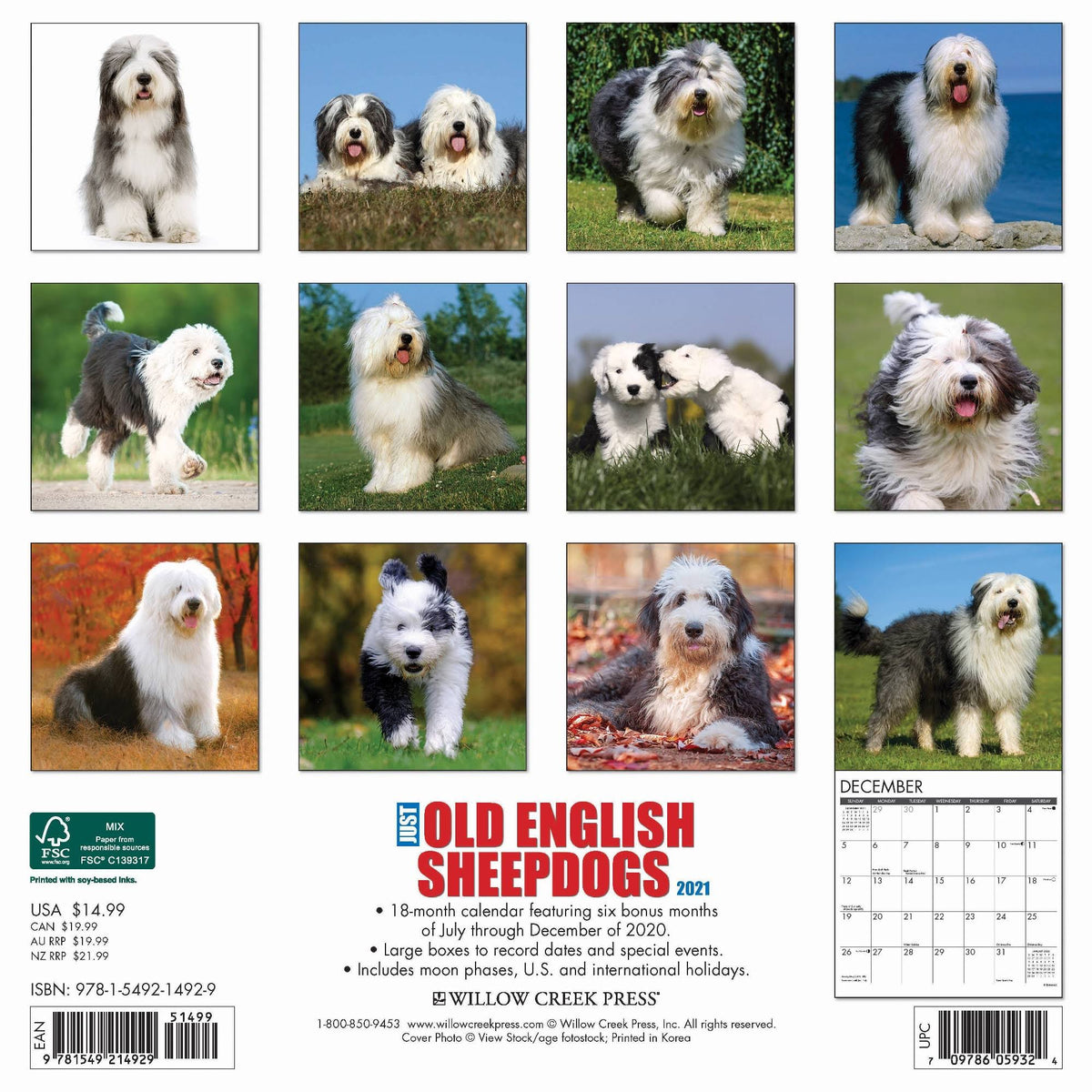 Old English Sheepdogs 2021 Wall Calendar R9936