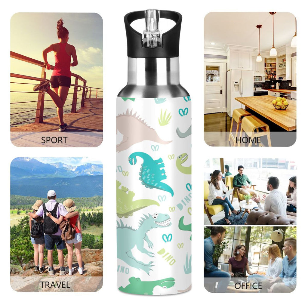 Stainless Steel Insulated Water Bottle with Straw Lid Z645