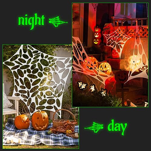 Halloween Mask and Giant Spider Web D3323