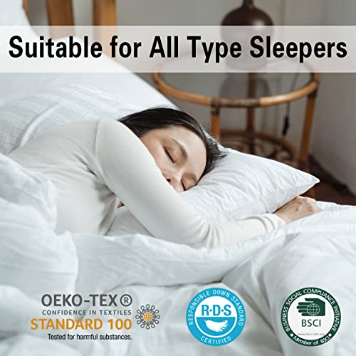 Queen Size 2 Pack Down Feather Pillow with 100% Cotton Cover W53777