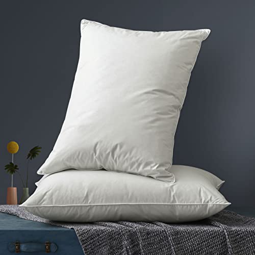 Queen Size 2 Pack Down Feather Pillow with 100% Cotton Cover W53777