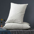 Queen Size 2 Pack Down Feather Pillow with 100% Cotton Cover W53777