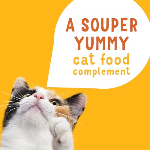 Grain Free Wet Cat Food Variety Pack, 30 Cups, 1.2 oz. A251