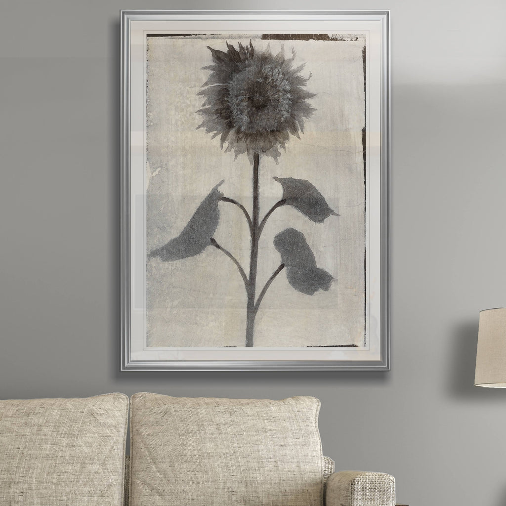 Framed Giclee Print 26x36 Q44143