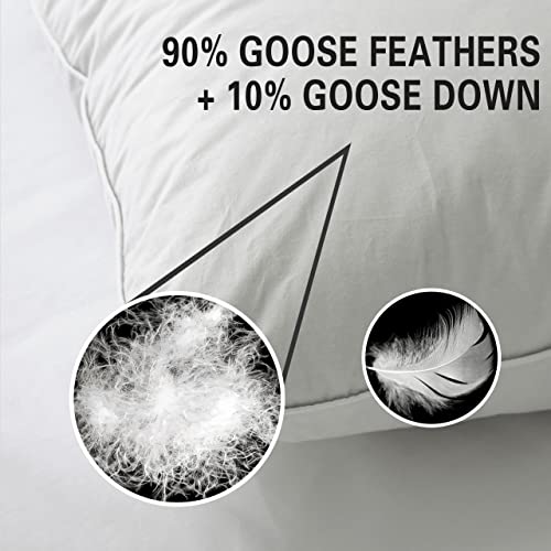 Queen Size 2 Pack Down Feather Pillow with 100% Cotton Cover W53777