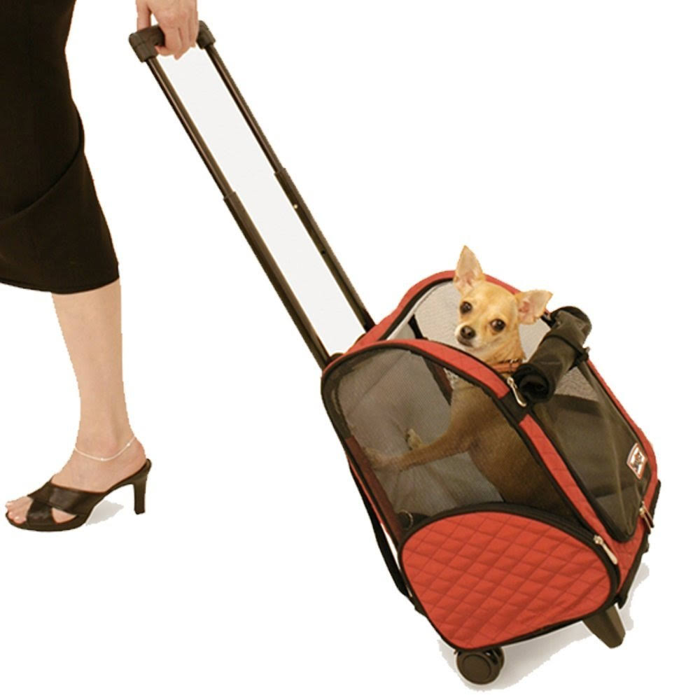 4-in-1 Pet Travel Carrier X469294