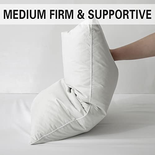 Queen Size 2 Pack Down Feather Pillow with 100% Cotton Cover W53777