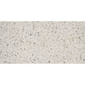 Bianco 12 x 24 Tile N15989
