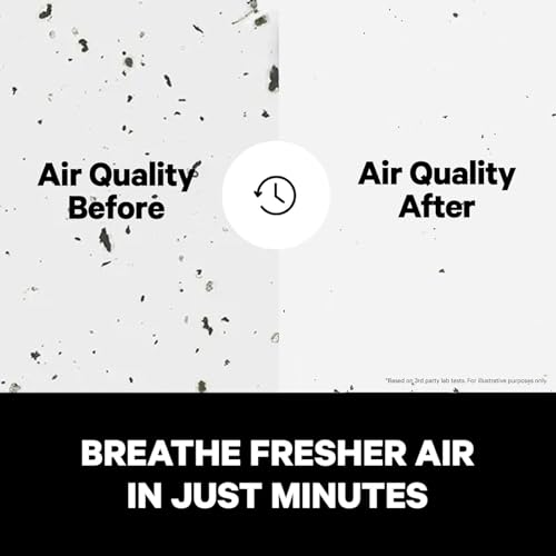 HEPA Air Purifier - Covers Up To 1,000 Sq Ft C6056