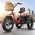 Electric Trike 20" Fat Tire 3 Wheel Folding Electric Tricycle I502