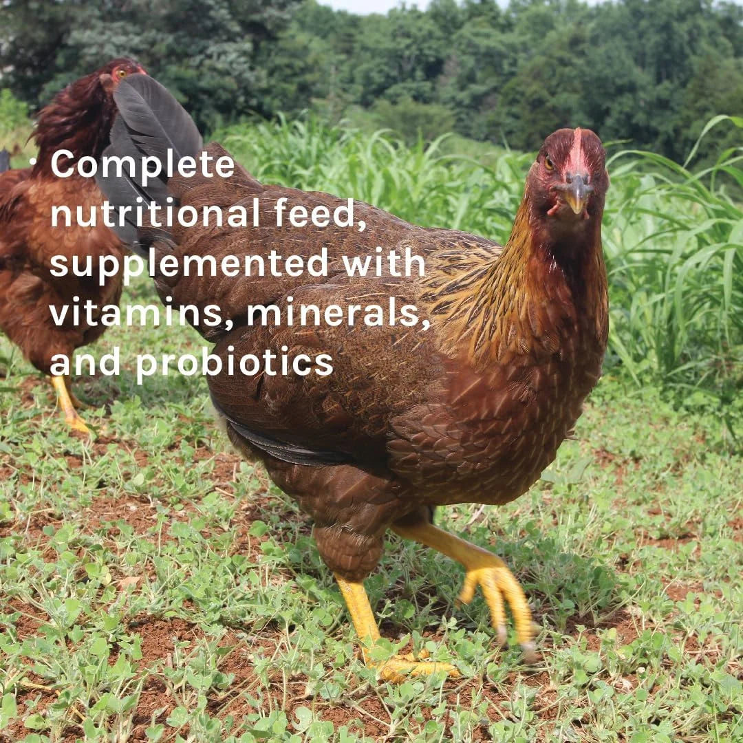 Corn-Free Soy-Free Organic Non-GMO 17% Protein Chicken Feed 25lb Bag G14043