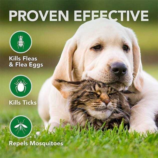 Flea and Tick Wipes for Dogs and Cats C2813