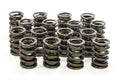 Valve Spring N1339