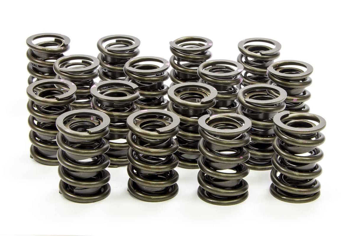 Valve Spring N1339