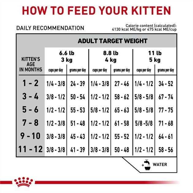 Veterinary Diet Feline Gastrointestinal Kitten Dry Cat Food S9550