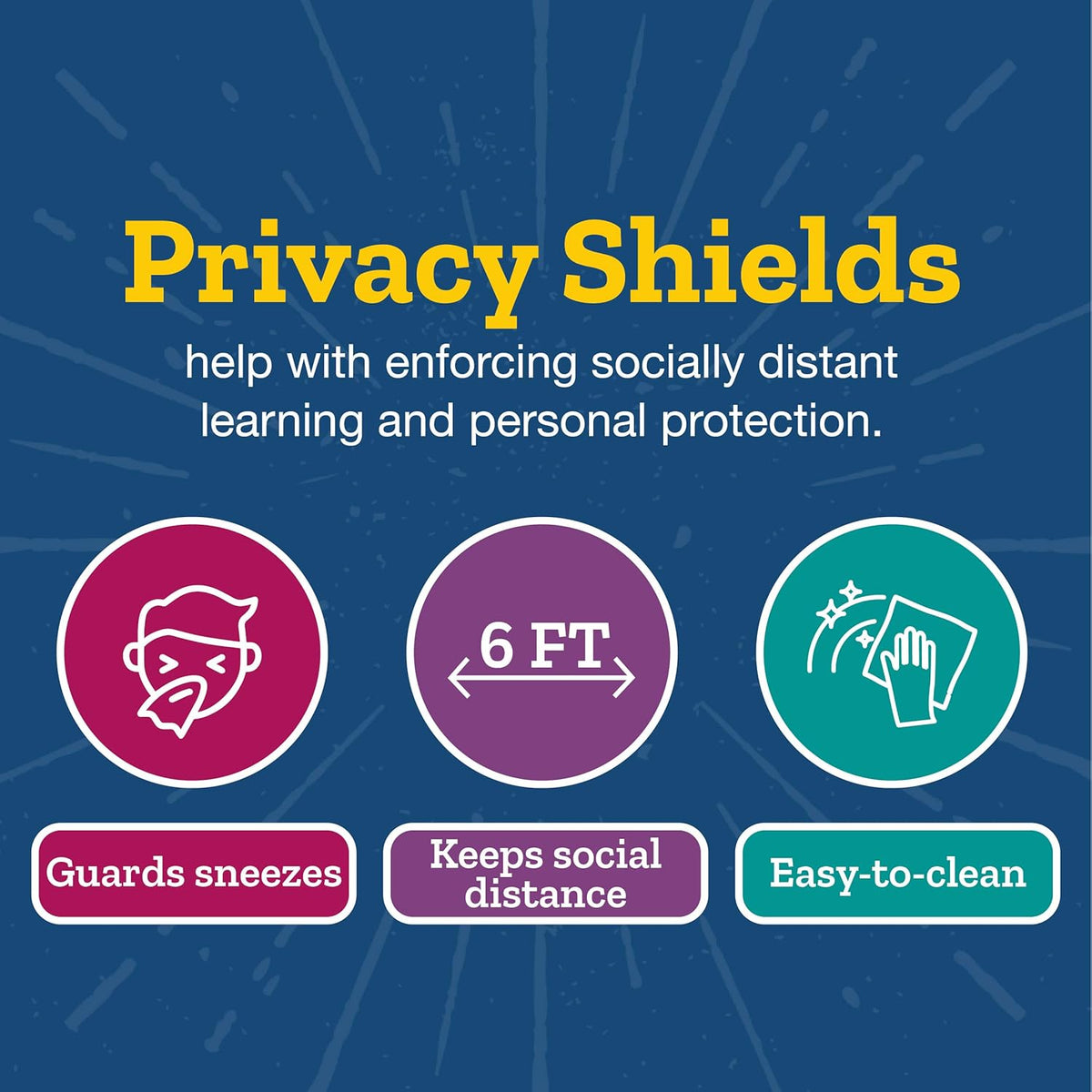 Set of 12 Matte Privacy Shields for Student Desks C3559