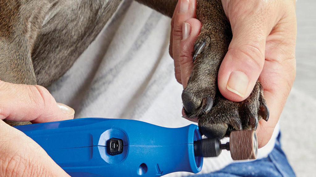 4V Pet Nail Grinder and Trimmer Grooming Kit Z534