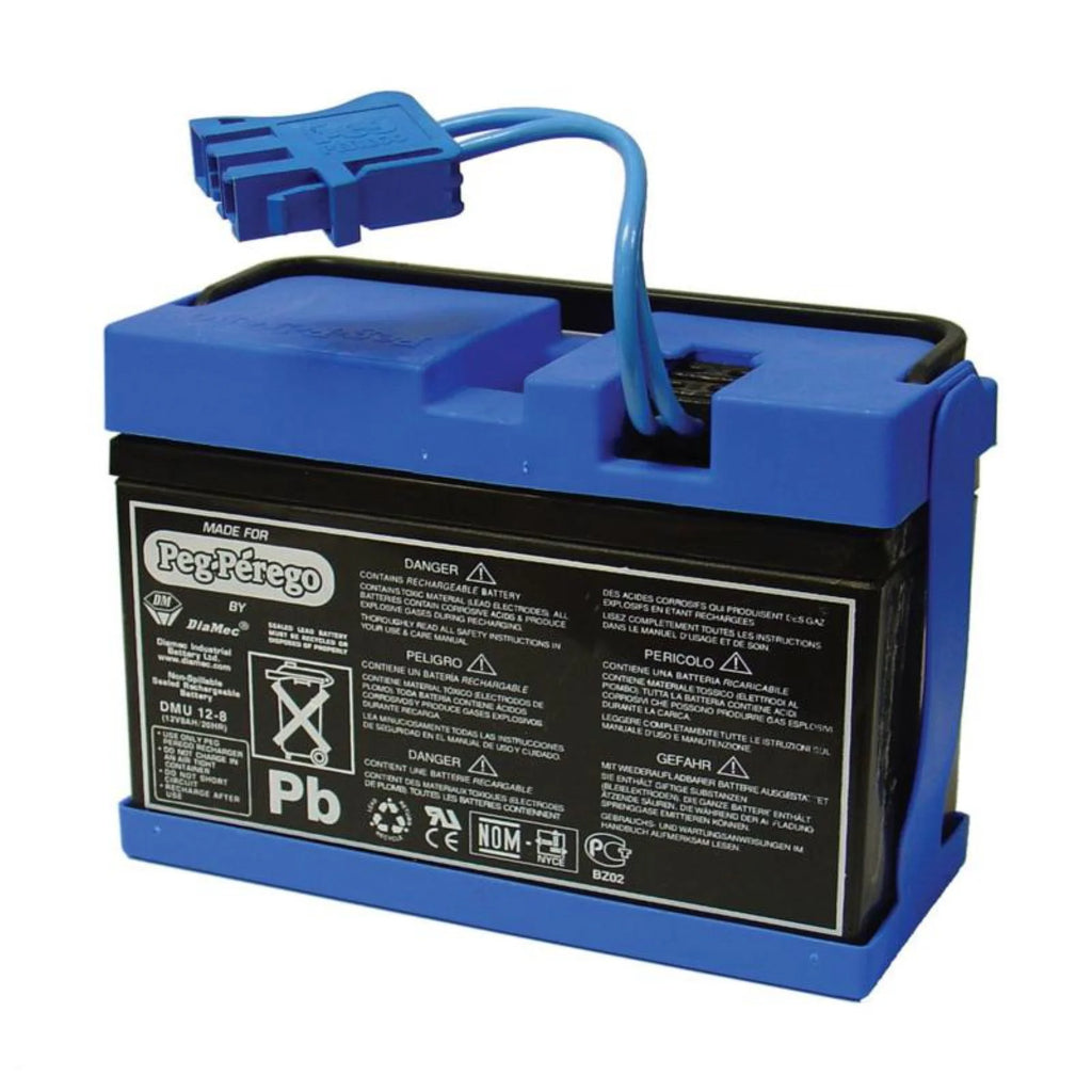 12-Volt Rechargeable Battery V119