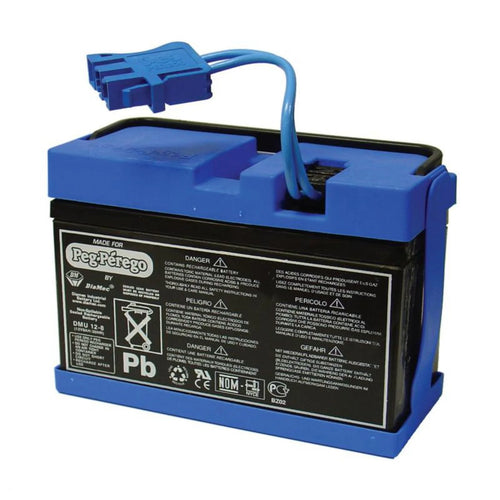 12-Volt Rechargeable Battery V119