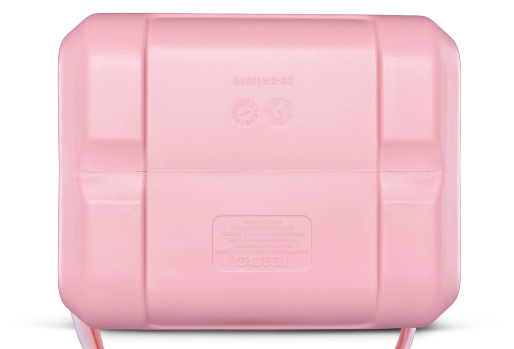 11 QT Hard Sided Cooler I9274