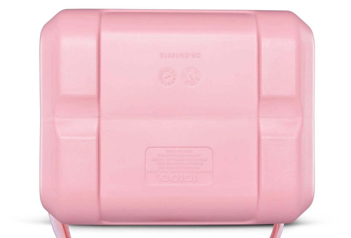 11 QT Hard Sided Cooler I9274