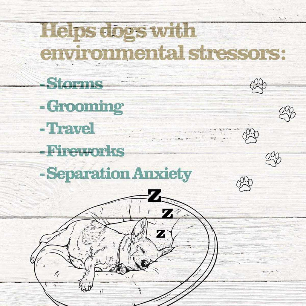 Calming Treats for Dogs J1522