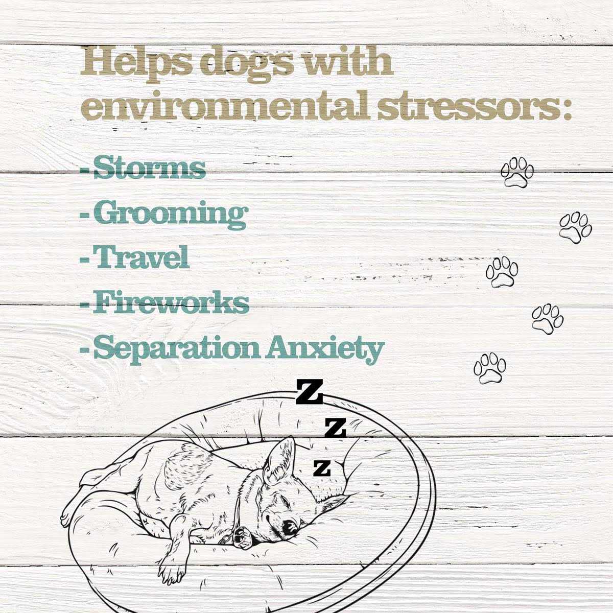 Calming Treats for Dogs J1522