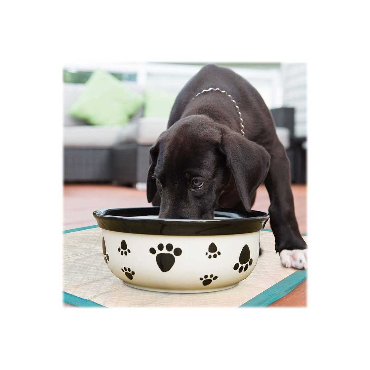 Dog Training Pads S340440