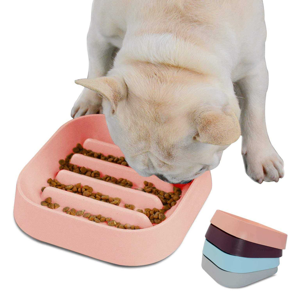 Slow Feeding Dog Bowl C72598