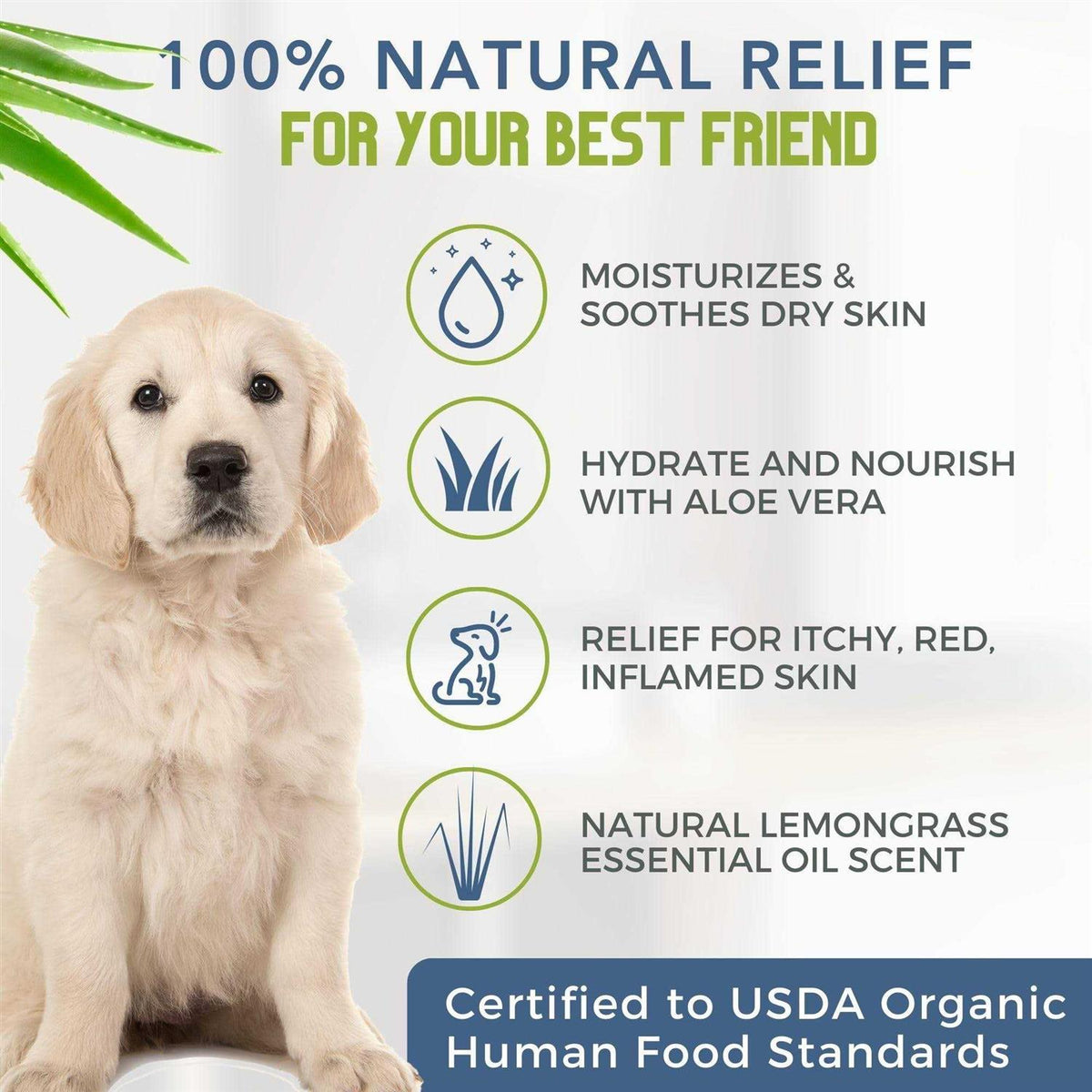 Certified Organic Hypoallergenic Dog Shampoo with Aloe and Lemongrass A223