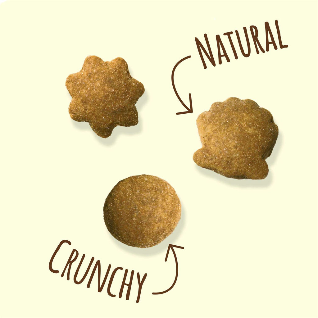 Cat Treats D926768