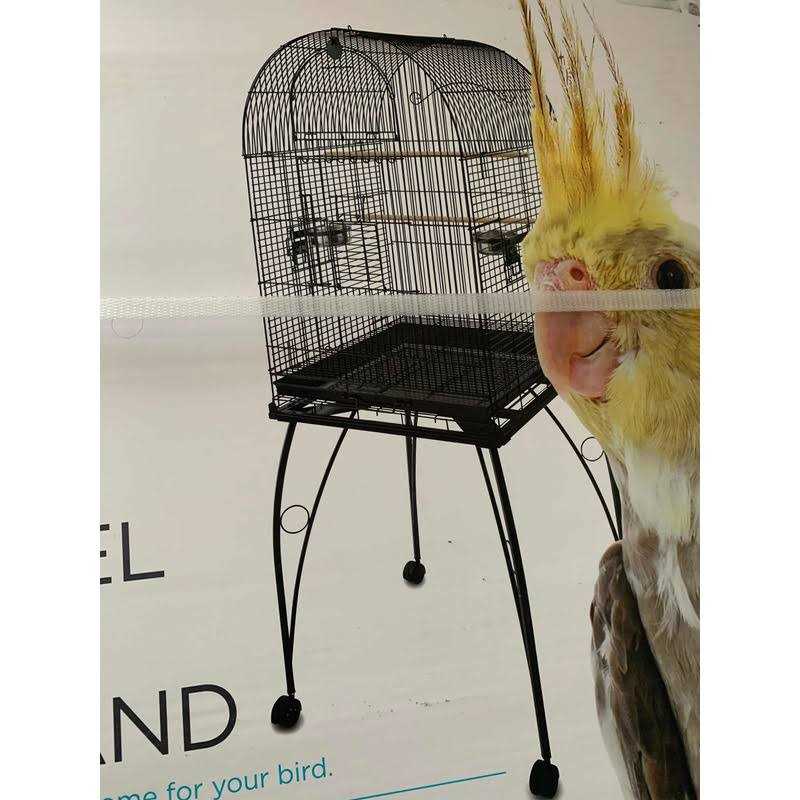 Cockatiel Cage B414155