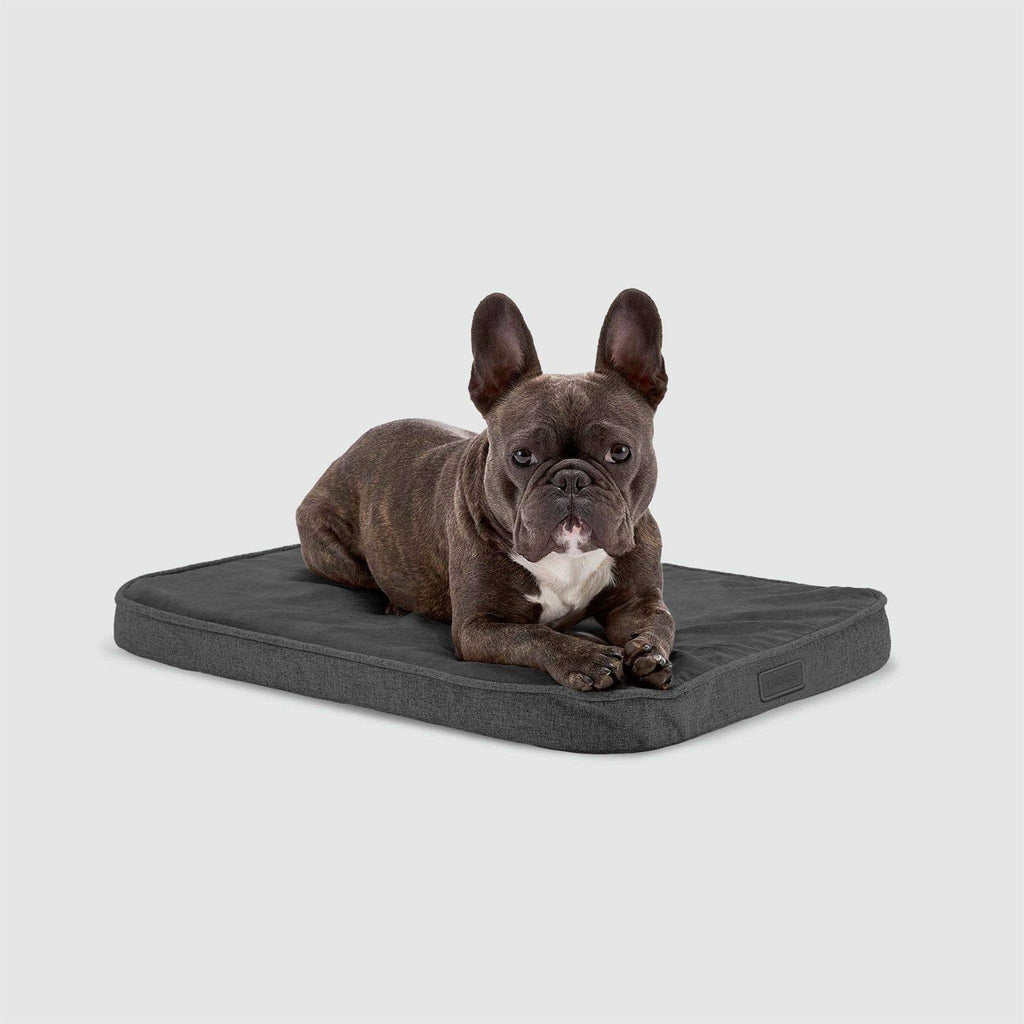 Memory Foam Dog Bed J51767