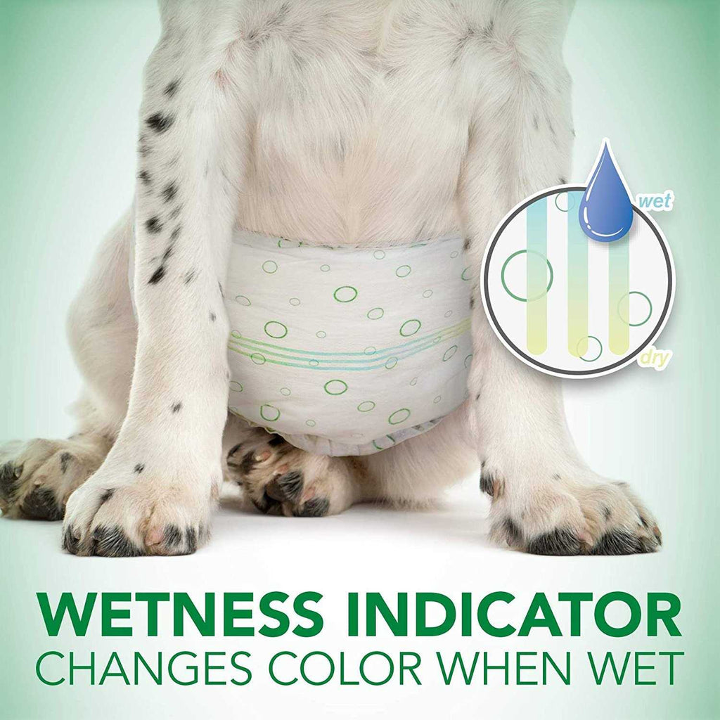 Disposable Male Dog Wraps O236