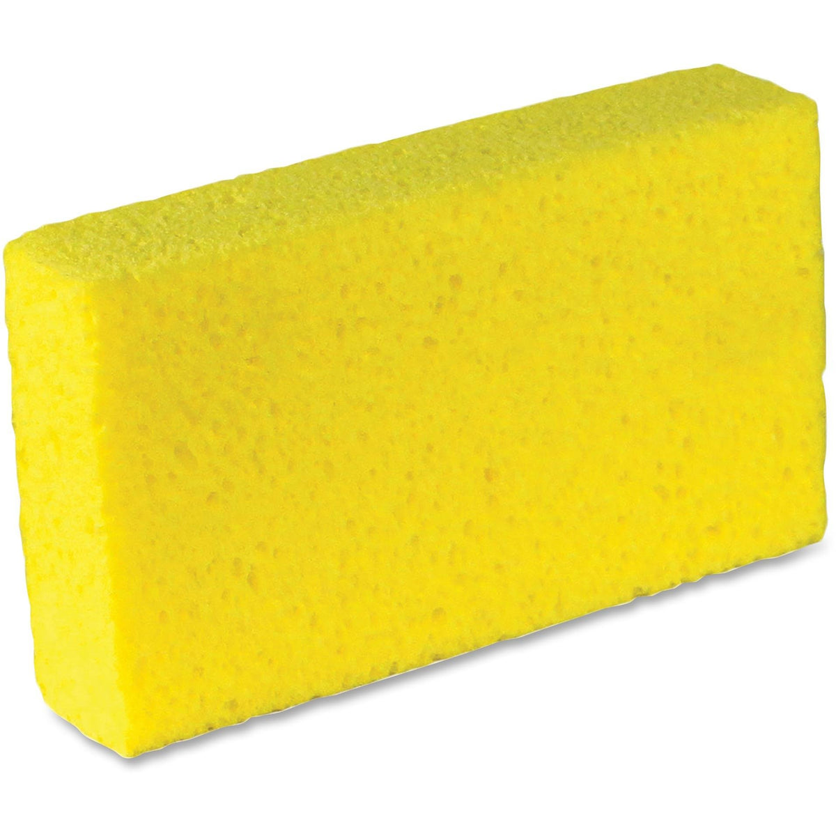 Large Cellulose Sponges Y863