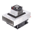 Thermoelectric Peltier Cooler Refrigeration Cooling System DC 12V W3828