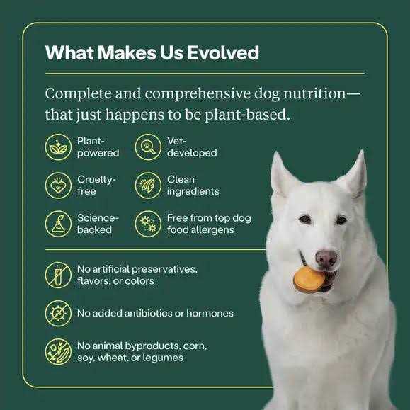 Golden Rotisserie Flavor Dry Dog Food Q878086