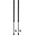 Pair Tailgate Hatch Lift Support for Honda Element N188