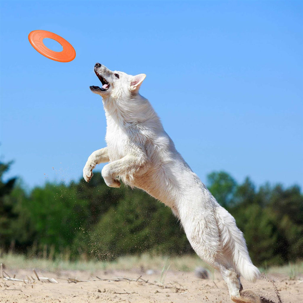 Dog Toy X24325