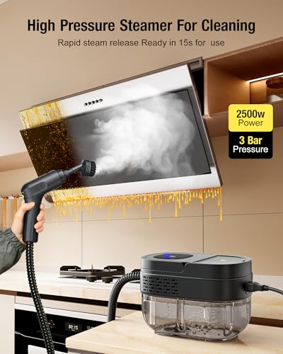 2500W Handheld Steam Cleaner L8778