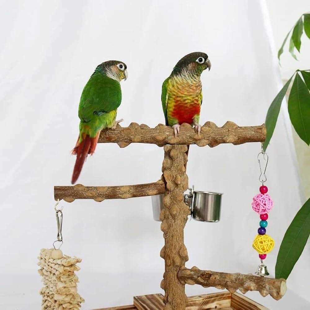 Wood Bird Perch Platform Stand P945431