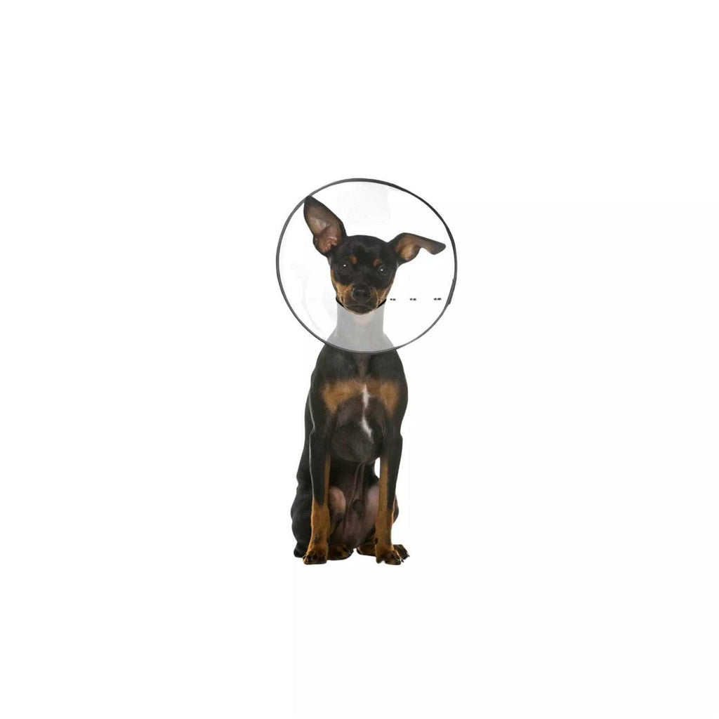 Clear Recovery Collar U12273