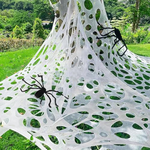 Halloween Mask and Giant Spider Web D3323