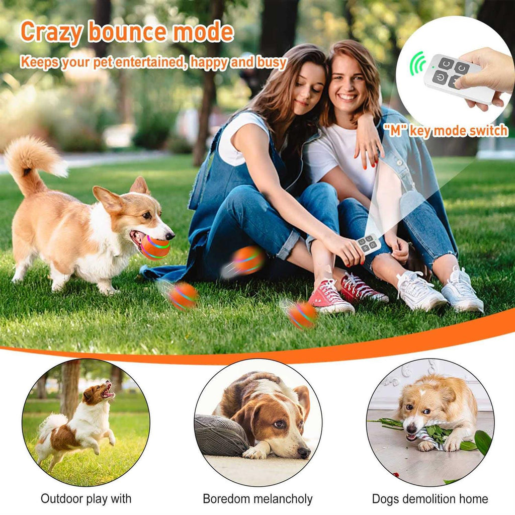 Interactive Dog Toys Peppy Pet Ball Y581229