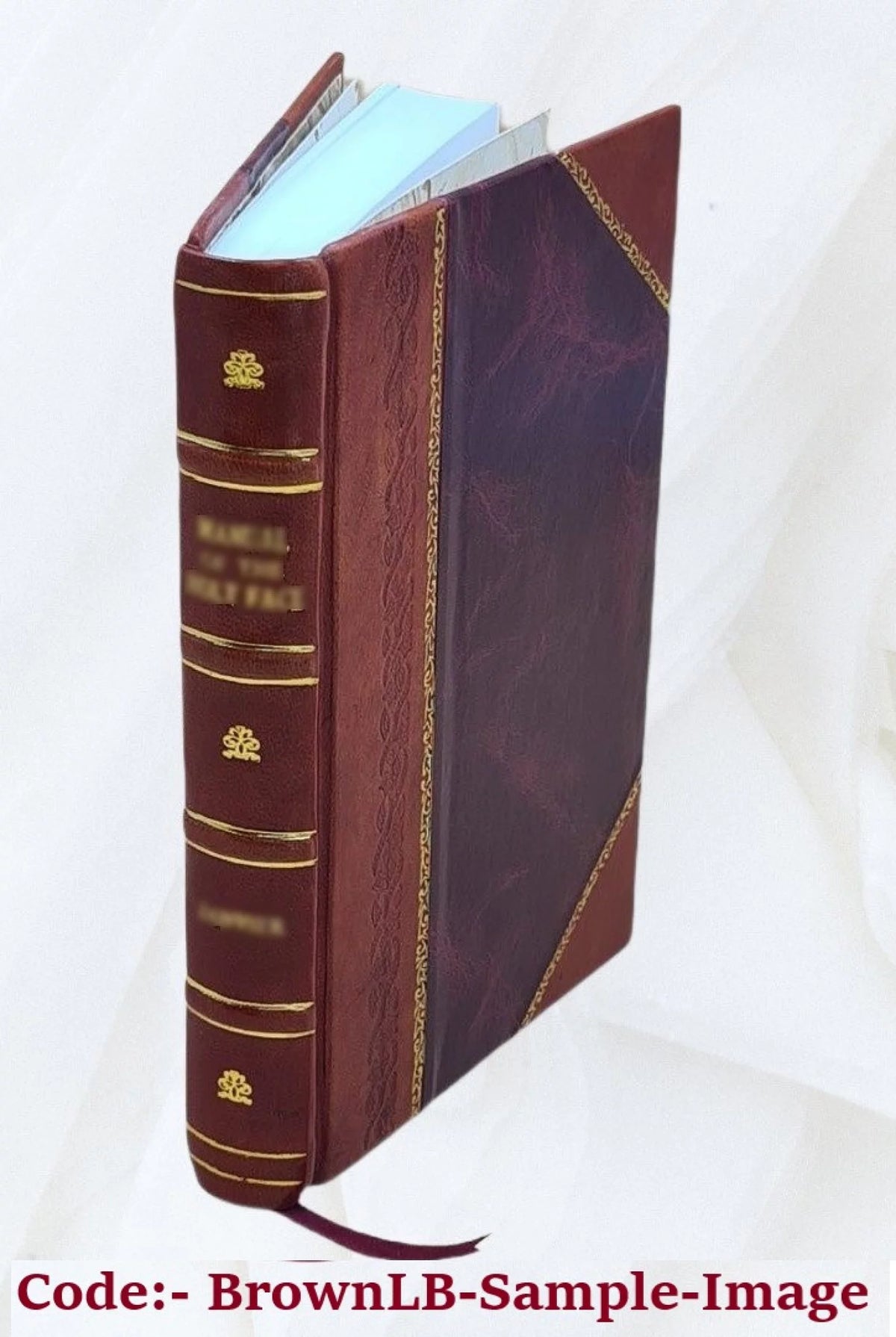 Leather Bound Book F970136